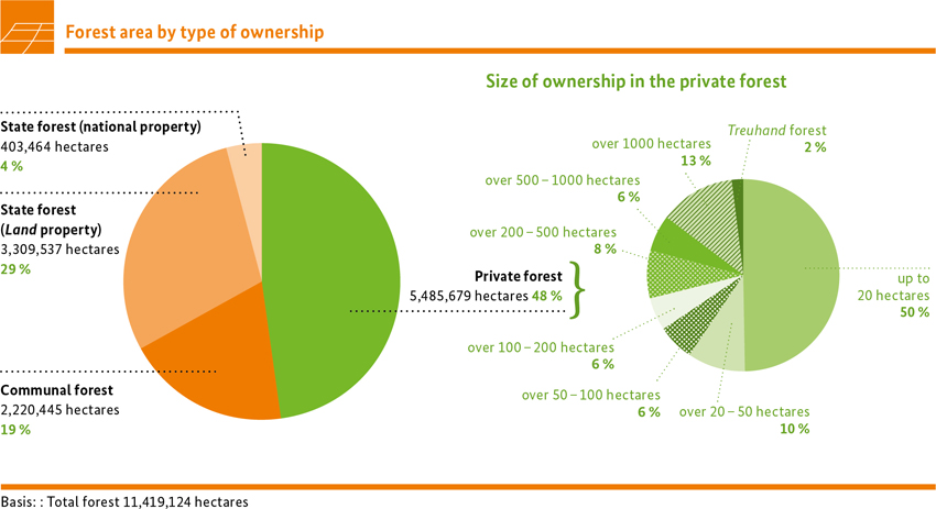 Forest area by type of ownership