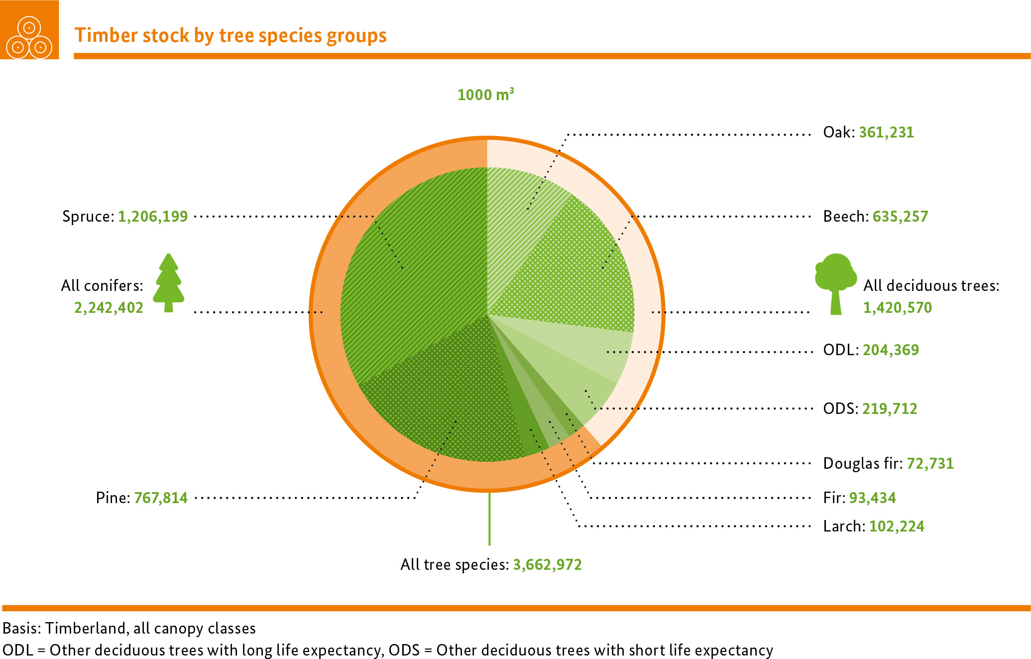 Timber stock by tree species groups