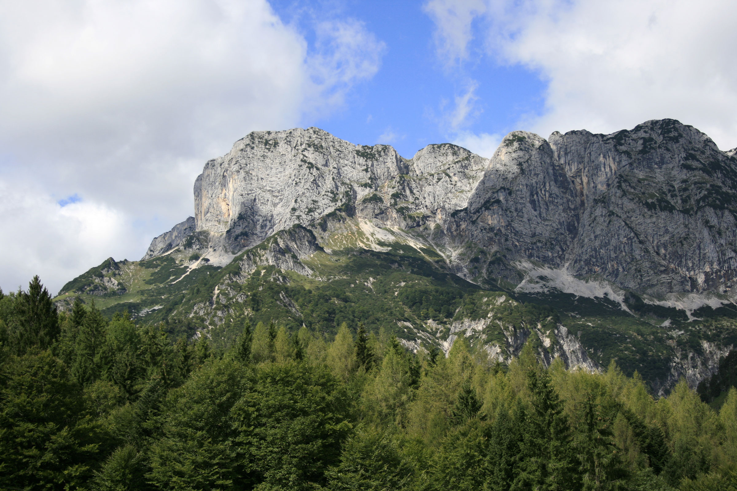Waldgrenze in den Alpen