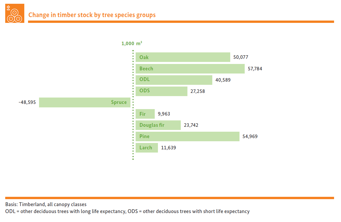 Change in timber stock by tree species groups