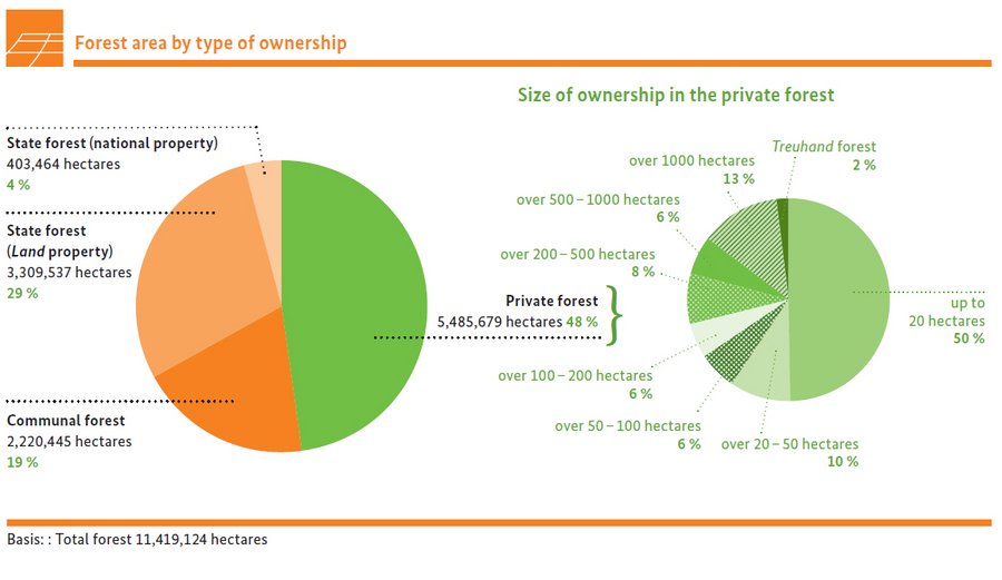 Forest area by type of ownership