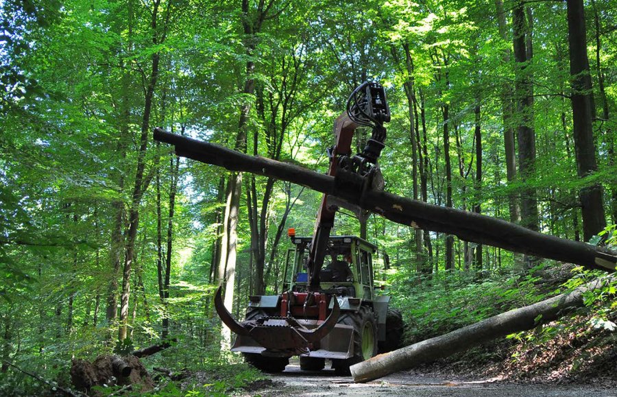 Forestry machine in use
