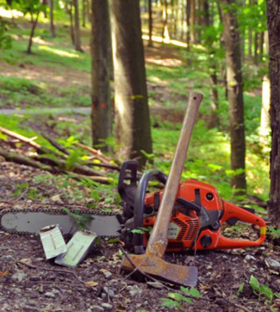Werkzeuge fürs Holzfällen