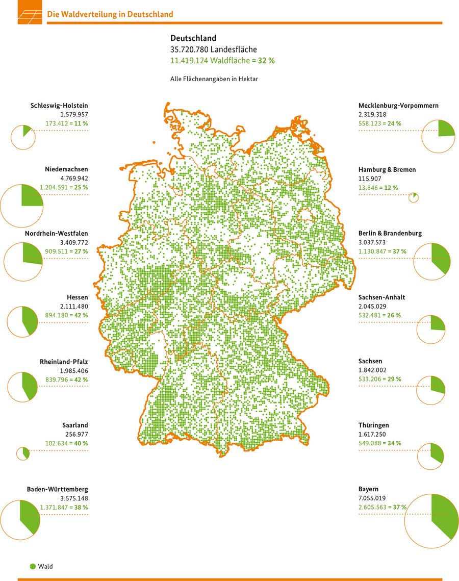 Die Waldverteilung in Deutschland