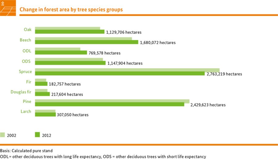 Change in forest area by tree species groups