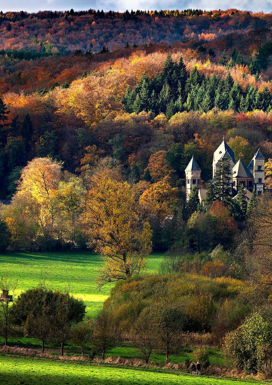 Blick auf eine im Wald gelegene Burg