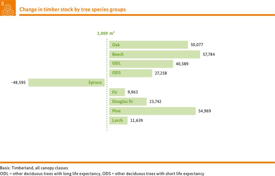 Change in timber stock by tree species groups