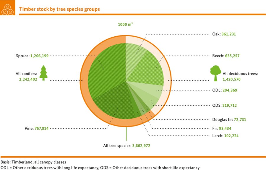 Timber stock by tree species groups